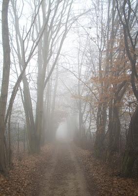 Colori d'inverno...