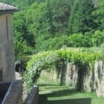 arco in ferro con rosa rampicante