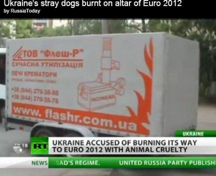 massacrati i randagi in ucraina e poi bruciati in forni crematori mobili