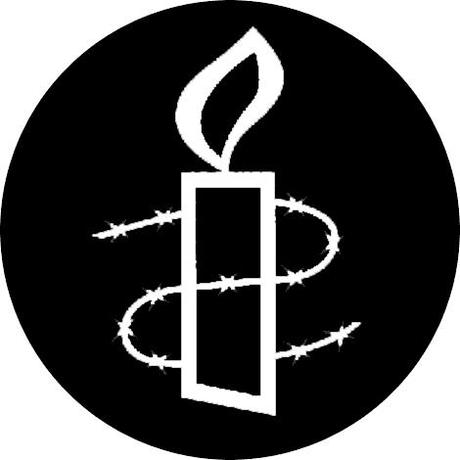 Amnestylogo