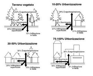 Scongiuriamo le alluvioni con il laureato della Facoltà di Agraria