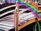 parole: pietre ponti?