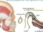 Chiropratico Dentista. Parte