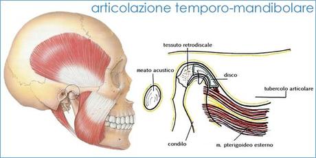 Il Chiropratico & il Dentista. Parte 11