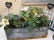 Idea decorare davanzale della nostra finestra Gennaio.