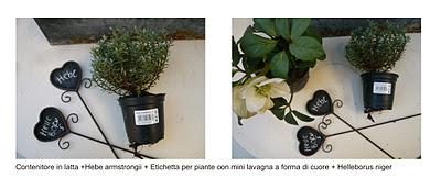 Idea per decorare il davanzale della nostra finestra in Gennaio.