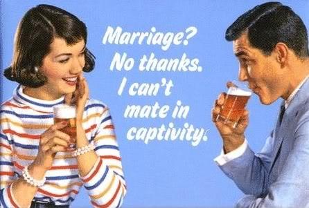 Ciò che penso del matrimonio...