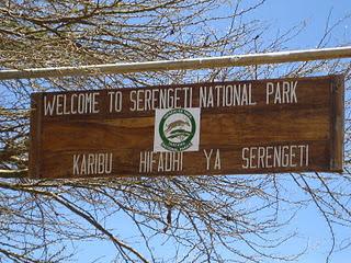 Parco Nazionale del Serengeti