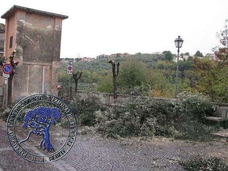 NO alla capitozzatura degli alberi