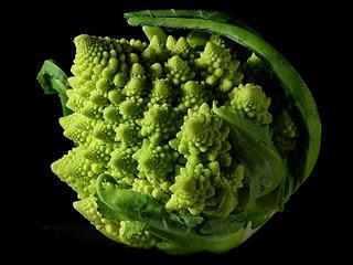 Su Bach, Mandelbrot ed il broccolo romanesco