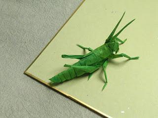 insetti straordinari  _Origami