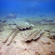 Inquinamento: a La Maddalena l’area dell’ex arsenale risulta essere pericolosa