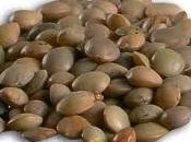 Lenticchie Castelluccio Norcia