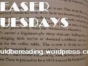 Teaser Tuesday Time Riders