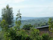 Rwamagana (Rwanda) /Dignità lavoro Prospettive sviluppo breve termine