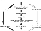 Olio: contro l'osteoporosi, extravergine alla vitamina