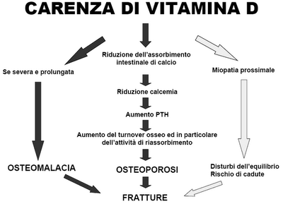 Olio: contro l'osteoporosi, un extravergine alla vitamina D.