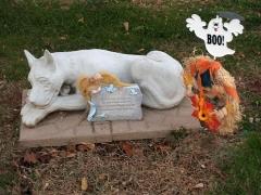 cimitero_animali AIDAA: a Milano serve un cimitero pubblico per animali