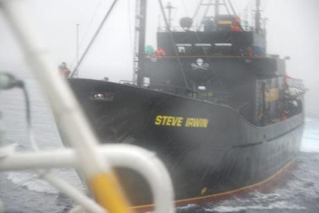 Feriti dai giapponesi tre ambientalisti della Sea Shepherd in Antartico