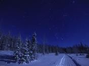 Gara cani slitta cancellata troppa neve