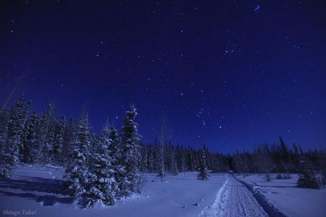 GARA DI CANI DA SLITTA CANCELLATA PER TROPPA NEVE