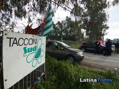 Tacconi: l’occupazione compie 1 anno