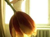 presento nuova rubrica: "Donne con... idee"