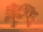 Peg:quando ammettera' vero problema clima?