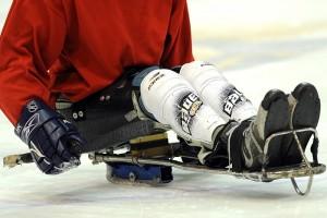 Tori seduti sempre vincenti