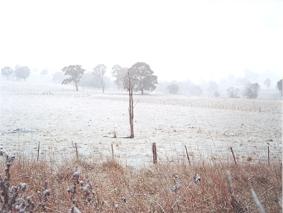 Neve chimica in Pianura Padana