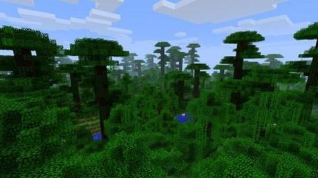 Minecraft, la versione 1.2 porterà la giungla e si potranno allevare i lupi