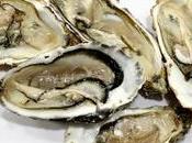Efsa: ostriche rischio virus gastroenterite