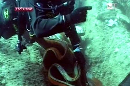 scoglio 7 Costa Concordia: ecco lo scoglio su cui si è squarciata la fiancata la nave | FOTO SUB