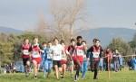 campestre,agliana,settore,promozionale,sport,news,corsa