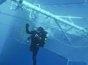 Concordia ferma, riprese ricerche. aprono varchi, prepara pontone svuotare carburante. Comitato naufraghi chiede 500mila euro testa Costa "per danni materiali psicologici"