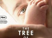 "The tree life" detto anche "Brad Pitt film strani"