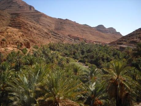 Marocco: Convegno internazionale su sviluppo oasi sud-est