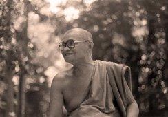 Ajahn Chah e la tradizione internazionale della foresta.