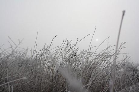 Una fredda settimana…