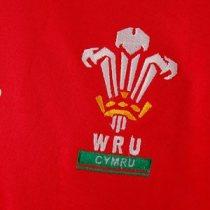 Galles, dove le maglie della Nazionale sono fatte di tifosi. Letteralmente.