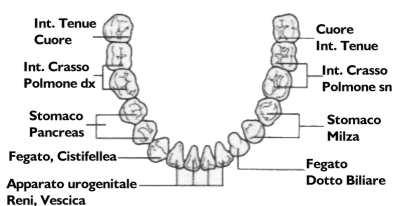 Alcune informazioni utili sui pericolosi denti devitalizzati