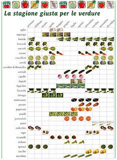 Frutta , verdura e legumi di stagione – MESE DI GENNAIO