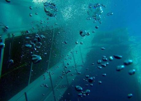 Costa Concordia: è già contaminazione ambientale