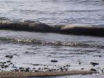 SVERSAMENTO NEL MARE DI TARANTO DI IDROCARBURI DALL'ENI.