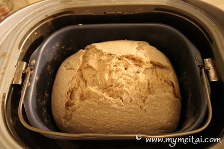 Pasta madre e macchina per il pane