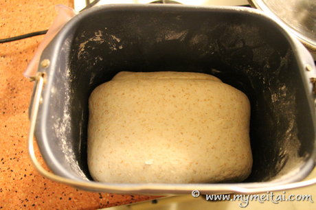 Pasta madre e macchina per il pane