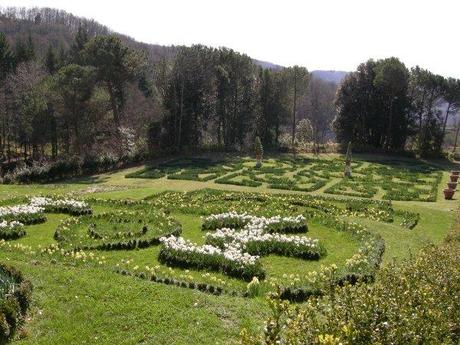 I narcisi di villa Pescigola