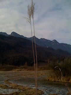 IL LAGO D'INVERNO....