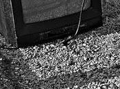 Television kills