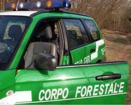 Agroalimentare/ Corpo Forestale. Ispettorato Generale e la Formazione sulla Contraffazione